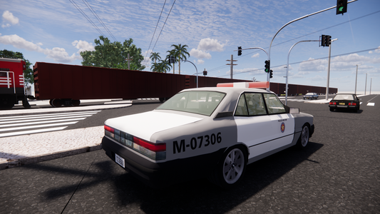 1990 Diplomata Polícia 2